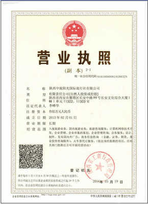 陕西中旅阳光国际旅行社西安东二环分公司注册指南 步骤与要点解析